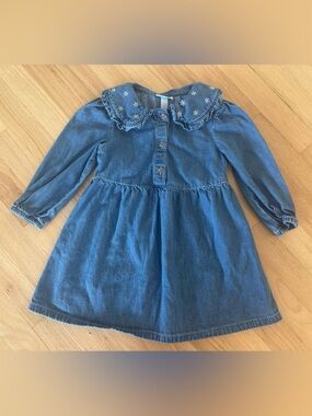 Cat & Jack Denim Toddler Dress
